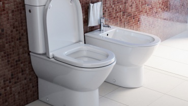 Probleme functionare WC