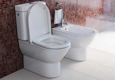Probleme functionare WC